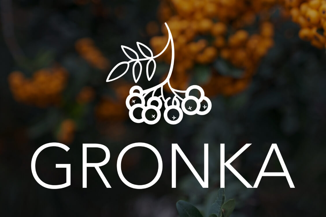 Краўдфандынгавы праект Gronka прызнаны 