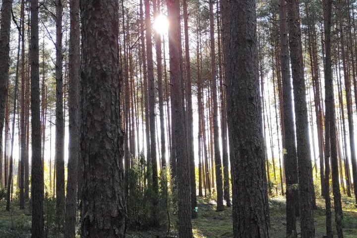 У жніўні і з пачатку верасня на беларускіх метэастанцыях зафіксавана больш за 240 тэмпературных рэкордаў