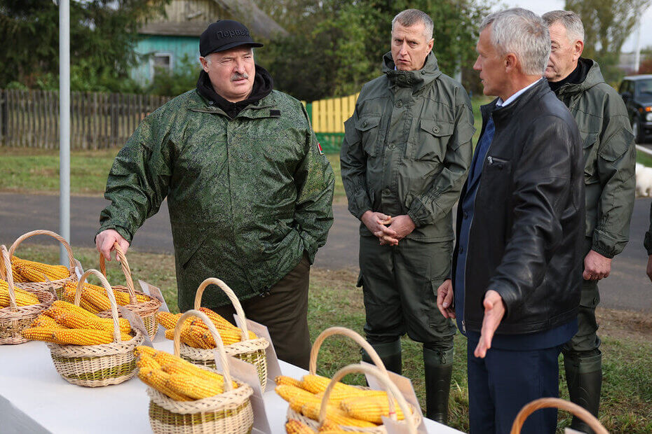 Łukašenka dissatisfied with corn yields