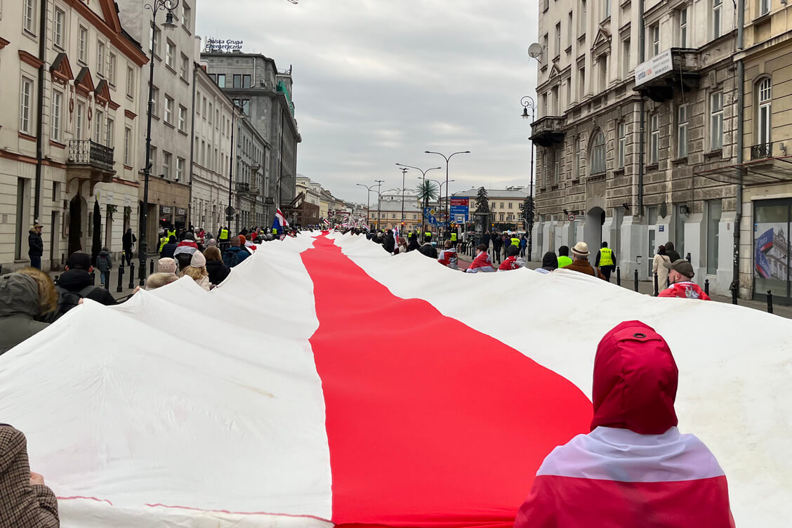 СК заявил об идентификации 365 участников протестных акций за рубежом 26 января